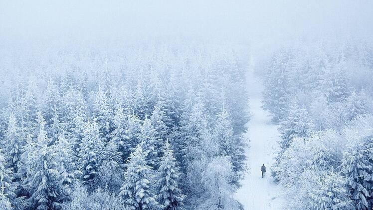 Wandern, Winter, Wald, Schnee