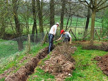 Auch eine neue Hecke wurde von den Helfern gepflanzt. Alle Fotos: Dieter Grams