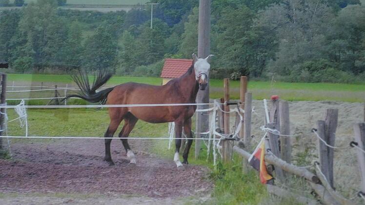 Foto: Ronald Rinklef