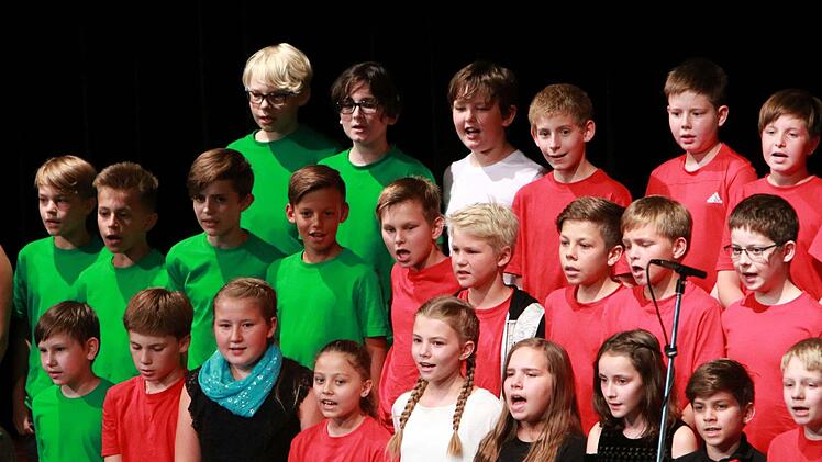 Impressionen vom Sommerkonzert des Gymnasiums Ernestinum im Coburger KongresshausFoto: Jochen Berger