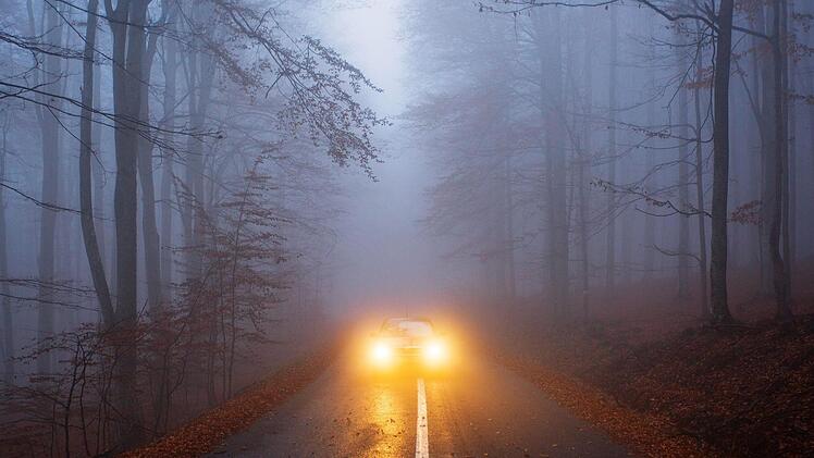 Wenn Nebel die Sicht verhängt und Blätter einen schmierigen Film auf der Straße bilden, kommt man am besten langsam ans Ziel. Foto: Symbolfoto: danmir12/Adobe Stock