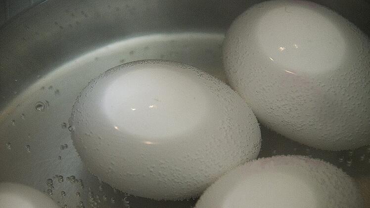 Eierschalen enthalten eine Menge an verschiedenen Nährstoffen.