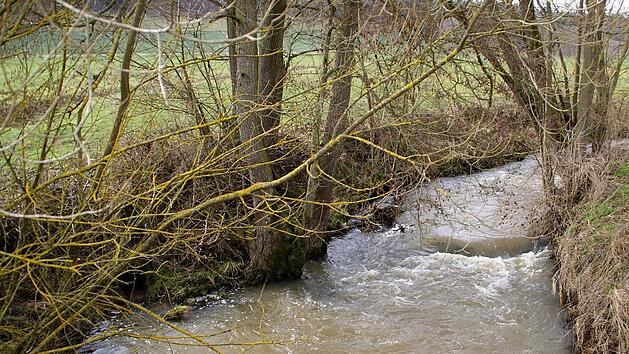 Immer wieder tritt die Rauhe Ebrach nach starkem Regen über die Ufer. Um dem entgegenzuwirken, will die Gemeinde nun ein Hochwasserschutzkonzept erstellen lassen, das aufzeigt, welche Gegenmaßnahmen sinnvoll und finanzierbar sind.  Foto: Sabine Weinbeer