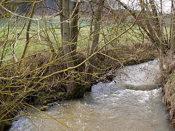 Immer wieder tritt die Rauhe Ebrach nach starkem Regen über die Ufer. Um dem entgegenzuwirken, will die Gemeinde nun ein Hochwasserschutzkonzept erstellen lassen, das aufzeigt, welche Gegenmaßnahmen sinnvoll und finanzierbar sind.  Foto: Sabine Weinbeer