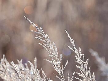 Foto: Marion Nickig