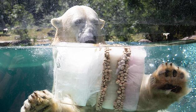 Wetter Frankreich - Abk&uuml;hlung im Zoo