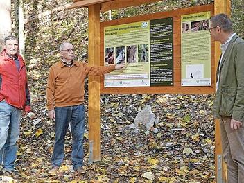 Im Verlauf des Weißenbachgrabens wurden Informationstafeln zum Thema „Lebensraum Wald“ installiert.
