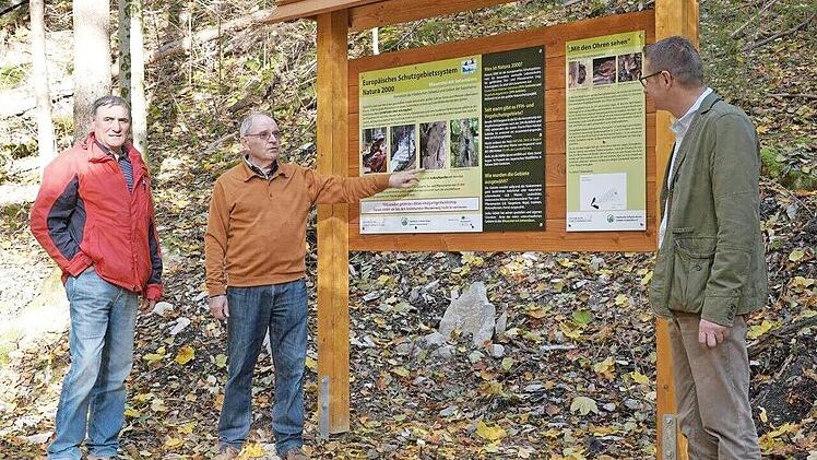 Im Verlauf des Weißenbachgrabens wurden Informationstafeln zum Thema „Lebensraum Wald“ installiert.