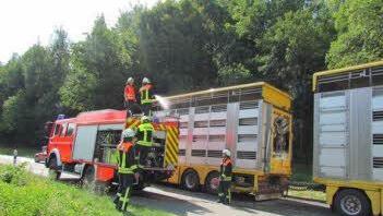 Nicht zum Löschen eines Brandes oder zur Bergung von Unfallopfer, sondern zum Tränken und Kühlen von 110 Schlachtschweinen und 350 Ferkeln ist die Bad Brückenauer Feuerwehr am Freitag auf die Autobahn gefahren. Foto: Polizei