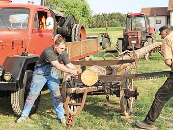 Matthias und Walter Lehnert (von links) üben sich schon einmal im Sägen mit einer alten manuellen Zugsäge. Sie stecken mitten in den Vorbereitungen für das Festwochenende am 26. und 27. Mai. Foto: Janina Reuter