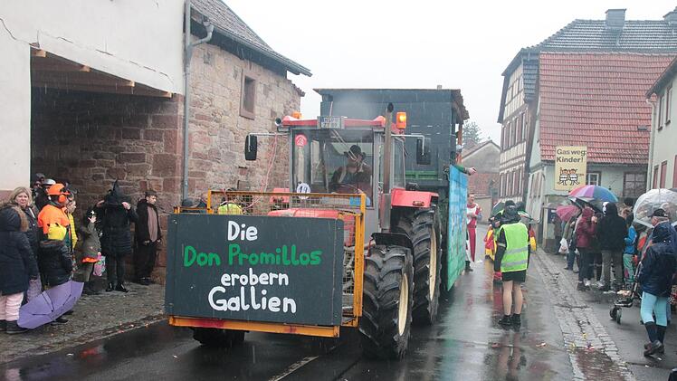 Eindrücke vom Dienbacher Faschingszug 2020. Foto: Ralf Ruppert