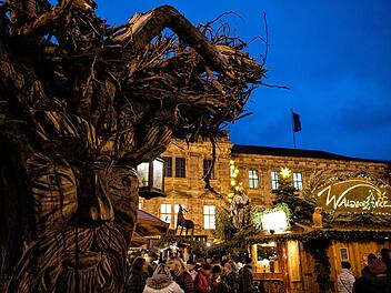 Erlangen: Eislaufspa&szlig;, Waldweihnacht und mehr - Winterzauber kommt wieder