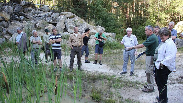 Diese Tümpel im Albersdorfer Steinbruch nutzen die Gelbbauchunken. Foto: Ralf Kestel