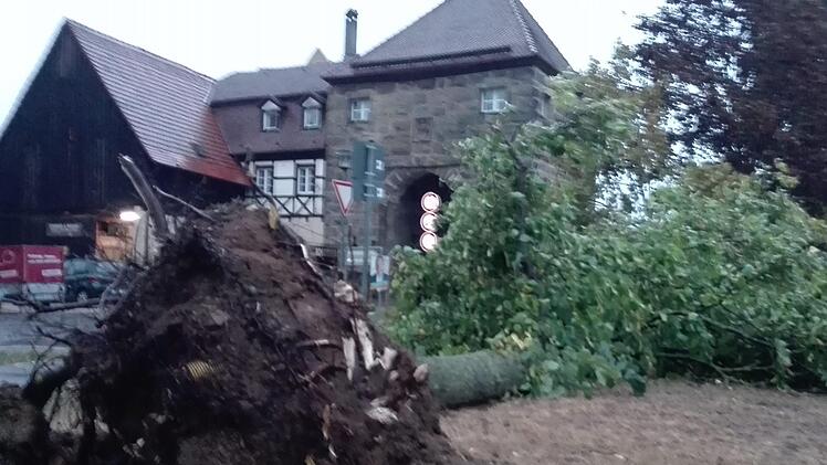 Ein umgestürzter Baum in Neunkirchen am Brand blockierte die Zufahrt zur Grundschule am Erleinhofer Tor. Die Feuerwehr war schnell zur Stelle. Am nächsten Morgen war die Zufahrt frei. Foto: rm