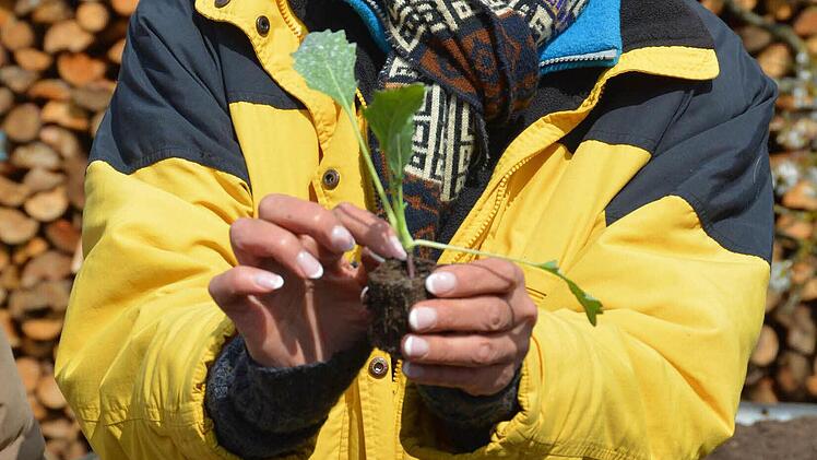 Praxisstunde für Gartenbau im Hausgarten Foto: Dagmar Besand