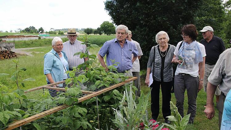 Im Garten von Peter Janson sind viele Plätze der Entspannung, aber auch ein Gemüsegarten und ein Gewächshaus zu finden. Foto: Michael Stelzner