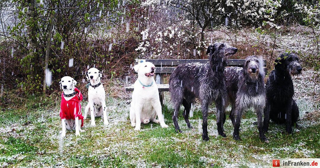 Franken: Ostermontag versinkt im Schnee