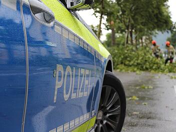 Symbolbild: Baum umgestürzt