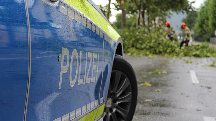 Symbolbild: Baum umgest&uuml;rzt