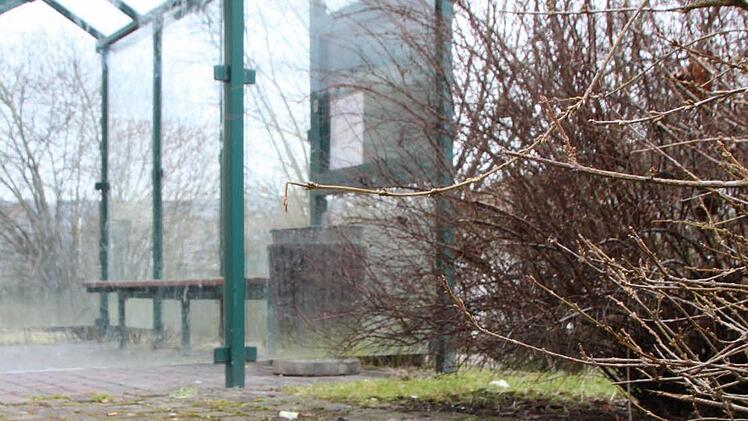 Bei der Bushaltestelle am Siebenerpark häufen sich die Hinterlassenschaften der Vierbeiner. Foto: Ulrike Müller