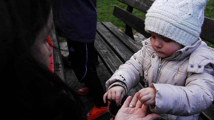 Die Traumgarten AG ist zu Gast beim Gartenbauverein Hutschorf.  Foto: Peter May