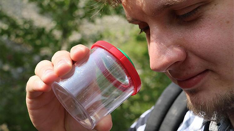 Mit der Becherlupe ganz nah dran am Insekt.