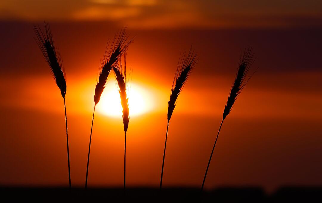Sonnenuntergang in Brandenburg