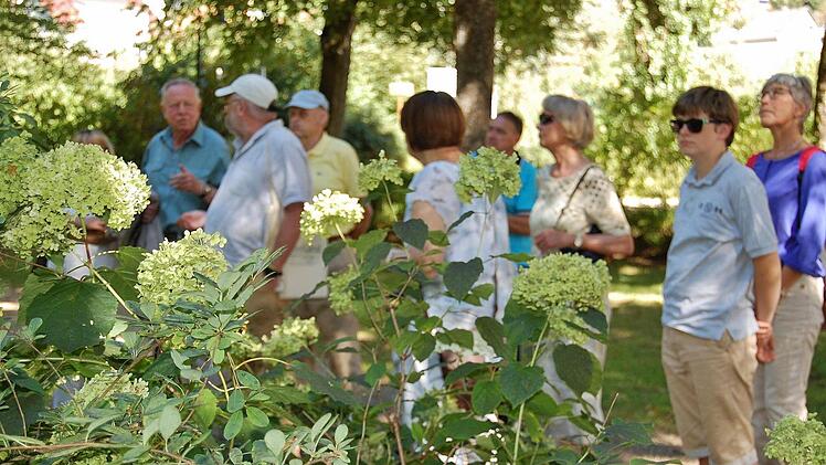 Bäume, Sträucher und Pflanzen, wie hier die Hortensien, standen im Vordergrund der einstündigen Führung. Foto: Von Dobschütz