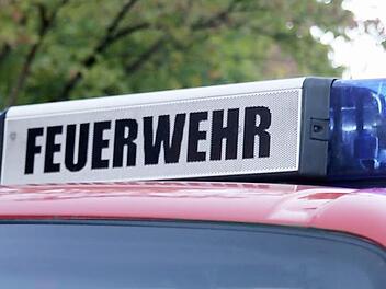 Die Feuerwehr im Marldsweisacher Gemeinedeteil Todtenweisach wird künftig alls "Löschgruppe" geführt.  Foto: Symbolbild/Michael Stelzner