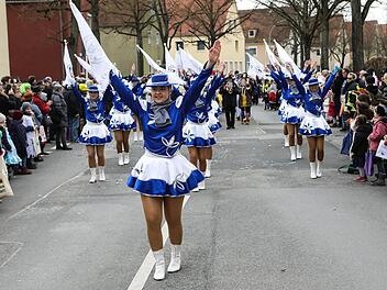 Faschingsumzug in der Bamberger Gartenstadt Foto: Barbara Herbst