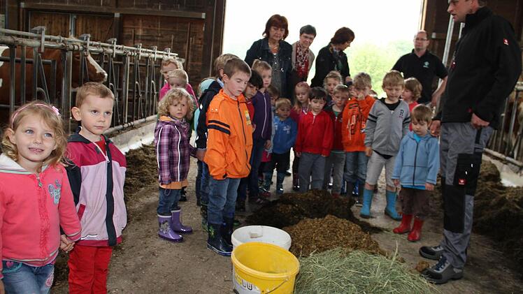 Was da auf dem Boden liegt, ist die Tagesration für eine einzige Milchkuh.