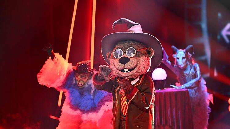 Harry Otter sang "Pokerface" von Lady Gaga und stellte die Ratecrew vor echte Rätsel. Da hatte keiner so einen richtigen Verdacht.