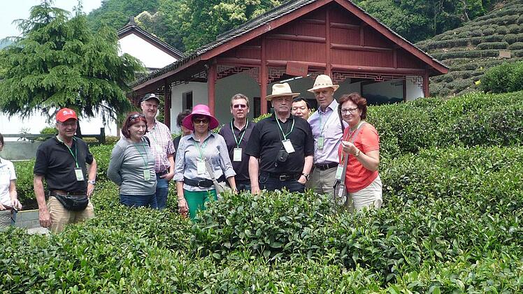 In der Region um Hangzhou wird viel Tee angebaut.