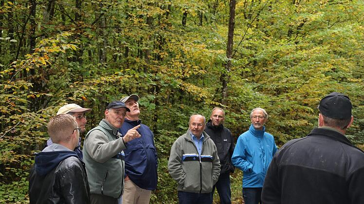 Zusammen mit dem Gemeinderat liefen Bernhard Zürner vom Amt für Ernährung, Landwirtschaft und Forsten Bad Neustadt (AELF) und Revierleiter Wolfgang Kuhlmann einige Bestände im Euerdorfer Wald an. Hilmar Ruppert