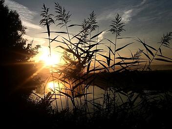 Wetter in Franken: Nach Hoch "Rosi" am Sonntag - wie wird die kommende Woche?