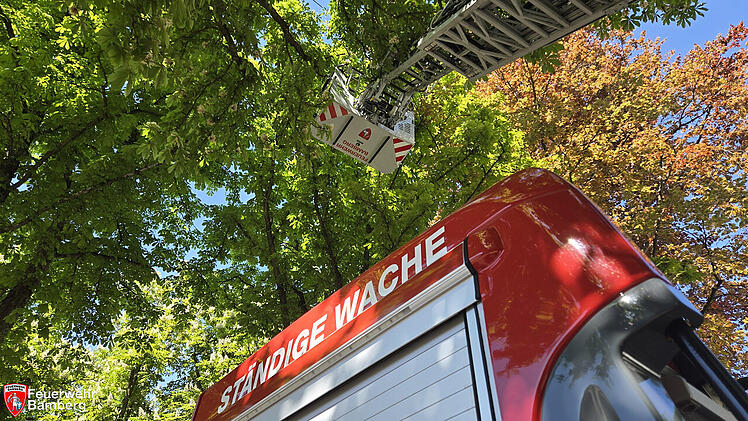 Rettung aus luftiger Höhe - Bamberger Feuerwehr rückt zu tierischem Einsatz aus