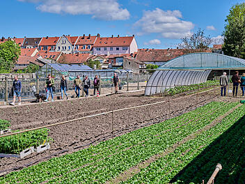 Bamberg: Bürger können an Projekt zur Klimaanpassung mitwirken