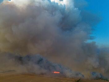 Waldbrand in der Gohrischheide