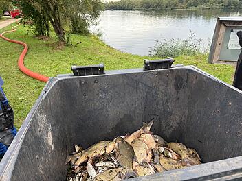 Tausende tote Fische in See: Sauerstoffgehalt bricht dramatisch ein - Feuerwehr mit Spezialgerät im Einsatz