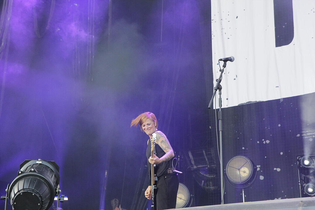 Broilers bei Rock im Park 2017