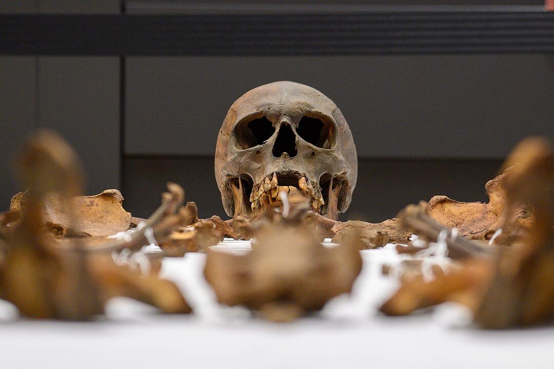 Untersuchungsergebnisse am Grabmal von Otto dem Gro&szlig;en