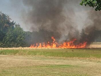 Diese Freifläche fing bei Steinach Feuer. Fotos: privat