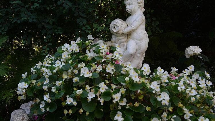Der Traumgarten der Familie Müller in Kulmbach-Ziegelhütten.  Foto: Dagmar Besand