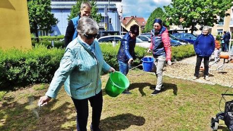 Mehr als 30 verschiedene Blumen- und Kr&auml;uterarten umfasst das Sortiment, das auf der Gr&uuml;nfl&auml;che neben dem Friedrich- Baur-Seniorenzentrum Sankt Kunigund ausges&auml;t wurde.  Foto: Bernd Kleinert