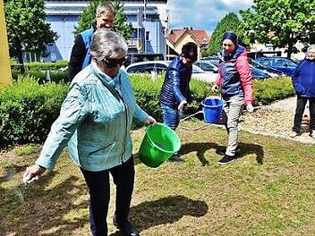 Mehr als 30 verschiedene Blumen- und Kr&auml;uterarten umfasst das Sortiment, das auf der Gr&uuml;nfl&auml;che neben dem Friedrich- Baur-Seniorenzentrum Sankt Kunigund ausges&auml;t wurde.  Foto: Bernd Kleinert