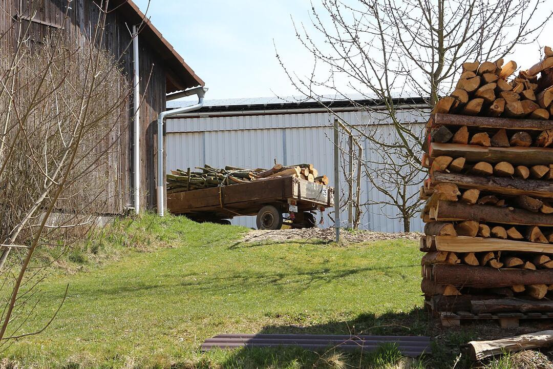 SoS Buchfeld im Lkr. H?chstadt; Foto: Barbara Herbst