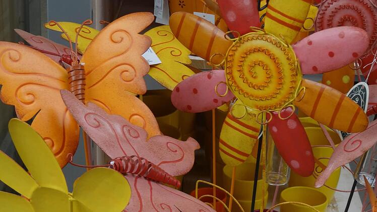 Wer nicht gießen will: Immerblühende Blumen gibt´s auch.