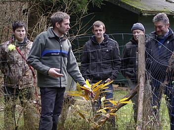 Förster Michael Sautter erklärt den Teilnehmern des Begangs die Funktion eines Pflanzgartens und die darin enthaltenen Jungpflanzen.  Foto: W. Ehling
