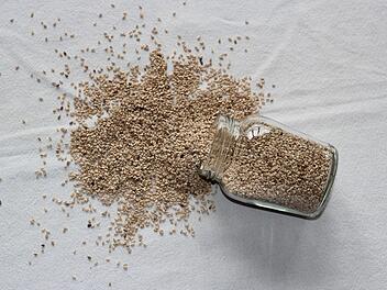 Wegen Salmonellen: Hersteller ruft gemahlene Melonensamen zurück