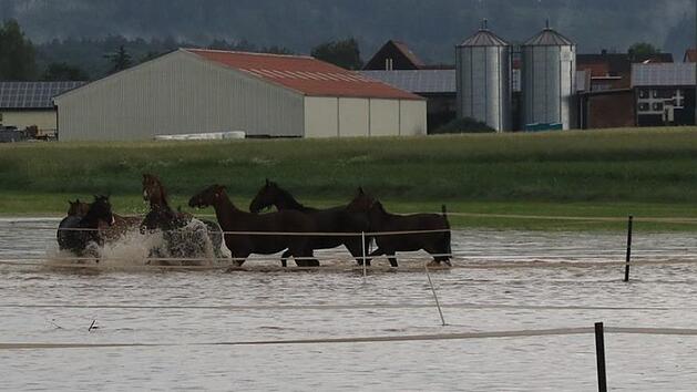 In Herrieden (Landkreis Ansbach) stand in k&uuml;rzester Zeit eine Pferdekoppel unter Wasser.  Foto: NEWS5 / Merzbach